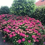 Amsterdam Countryside Met Airco ,geweldig Uitzicht, Luxe Keuken,wasmachine,droger,gratis Fietsen Apartment *