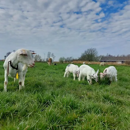Amsterdam Countryside Met Airco ,geweldig Uitzicht, Luxe Keuken,wasmachine,droger,gratis Fietsen