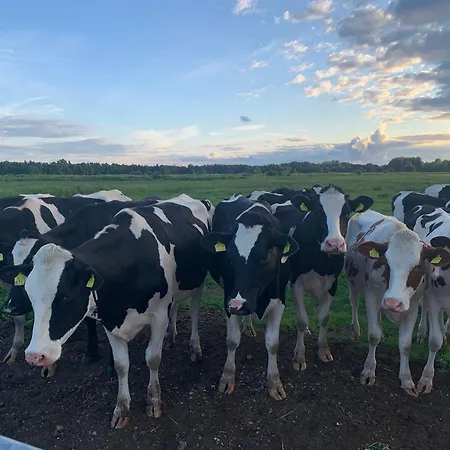 Amsterdam Countryside Met Airco ,geweldig Uitzicht, Luxe Keuken,wasmachine,droger,gratis Fietsen * Den Ilp