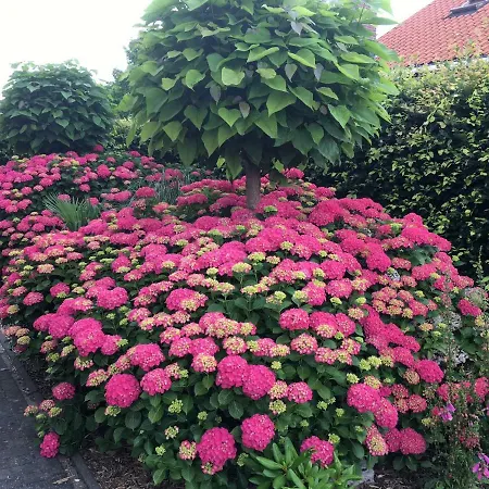 Amsterdam Countryside Met Airco ,geweldig Uitzicht, Luxe Keuken,wasmachine,droger,gratis Fietsen Apartamento *