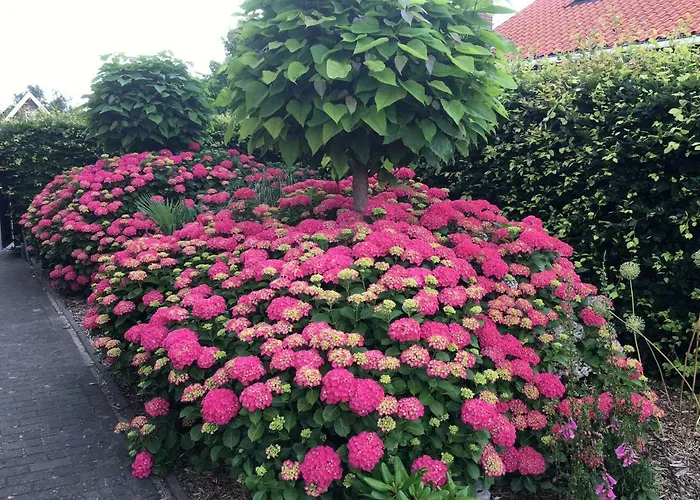 Amsterdam Countryside Met Airco ,geweldig Uitzicht, Luxe Keuken,wasmachine,droger,gratis Fietsen Lägenhet *