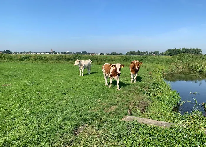 Amsterdam Countryside Met Airco ,geweldig Uitzicht, Luxe Keuken,wasmachine,droger,gratis Fietsen Lägenhet *